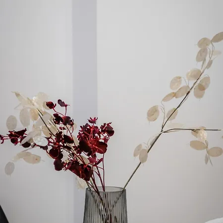 Koletek 7 Apartment Near The Wawel Castle Krakow Room photo